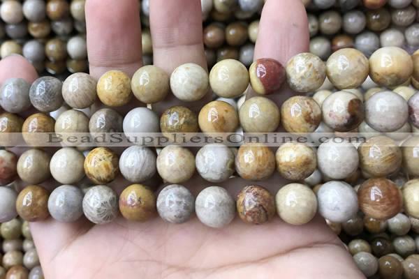 CFC324 15.5 inches 12mm round fossil coral beads wholesale