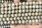 CFC333 15.5 inches 8mm round fossil coral beads wholesale