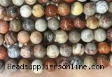 CFC344 15.5 inches 12mm round red fossil coral beads wholesale