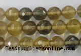 CFL454 15.5 inches 10mm faceted round rainbow fluorite beads