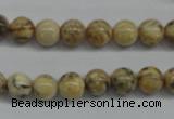 CFS02 15.5 inches 10mm round natural feldspar gemstone beads