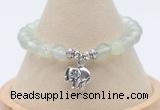 CGB7902 8mm prehnite bead with luckly charm bracelets wholesale