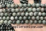 CGJ513 15.5 inches 10mm round green forst jasper beads wholesale