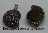 CGP1560 30*36mm - 35*45mm ammonite pendants wholesale