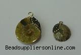 CGP270 15*18mm - 22*28mm ammonite pendants wholesale