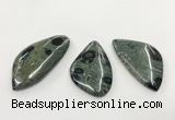 CGP3611 30*50mm - 35*55mm freeform kambaba jasper pendants