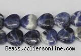 CHG11 15.5 inches 10*10mm heart sodalite gemstone beads wholesale