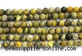 CHJ121 15.5 inches 8mm round honeybee jasper gemstone beads