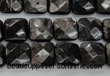 CHS26 15.5 inches 12*12mm faceted square natural hypersthene beads