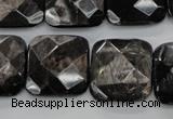 CHS28 15.5 inches 20*20mm faceted square natural hypersthene beads