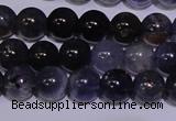 CIL10 15.5 inches 5mm round A grade natural iolite gemstone beads