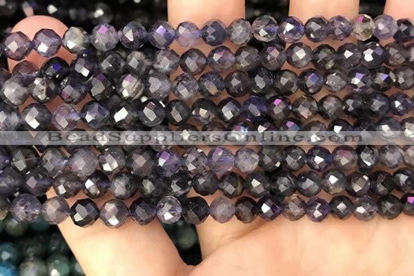 CIL121 15.5 inches 5mm faceted round iolite beads wholesale