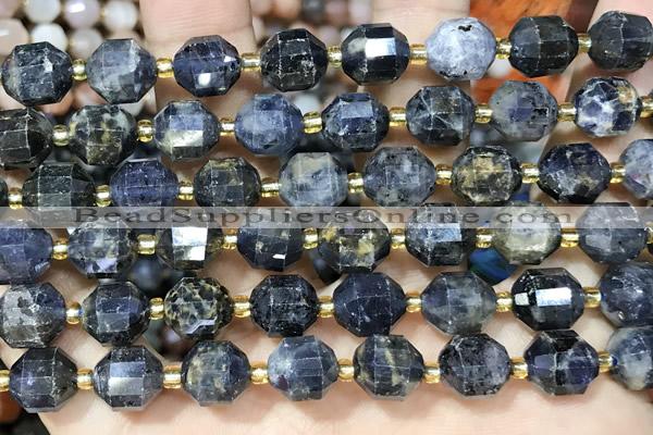 CIL130 15 inches 9*10mm faceted iolite beads wholesale