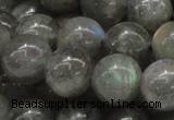 CLB06 16 inches 16mm round labradorite gemstone beads wholesale