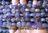 CLB1022 15.5 inches 10mm faceted coin labradorite gemstone beads