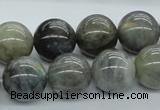 CLB103 15.5 inches 16mm round labradorite gemstone beads wholesale