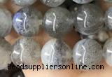 CLB1058 15.5 inches 8mm round labradorite gemstone beads