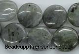 CLB107 15.5 inches 18mm flat round labradorite gemstone beads wholesale