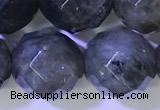 CLB1097 15.5 inches 10mm faceted round labradorite gemstone beads