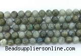 CLB1223 15.5 inches 10mm round labradorite gemstone beads