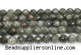 CLB1251 15 inches 10mm faceted round labradorite beads wholesale