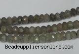 CLB178 15.5 inches 4*6mm faceted rondelle labradorite beads