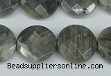 CLB193 15.5 inches 20mm faceted coin labradorite gemstone beads