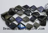 CLB218 15.5 inches 25*30mm - 30*40mm faceted freeform labradorite beads