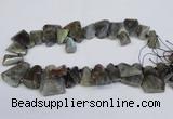 CLB222 Top drilled 15*25mm - 25*30mm freeform labradorite beads