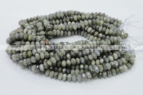 CLB30 15.5 inches 6*10mm faceted rondelle labradorite gemstone beads