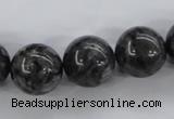 CLB356 15.5 inches 16mm round black labradorite beads wholesale