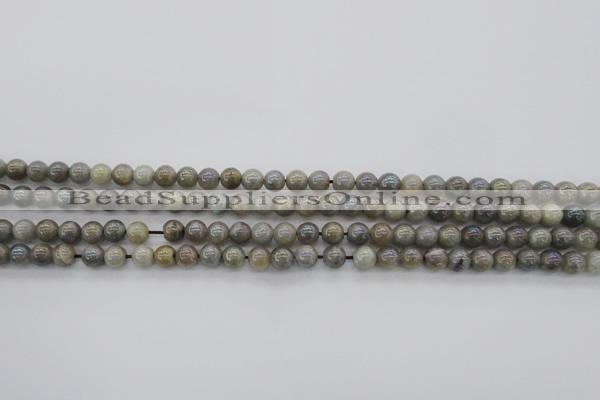 CLB601 15.5 inches 6mm round AB-color labradorite beads