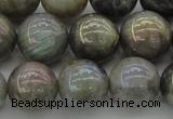 CLB605 15.5 inches 14mm round AB-color labradorite beads