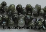 CLB631 15.5 inches 6*12mm bone AB-color labradorite beads