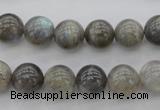 CLB65 15.5 inches 10mm round labradorite gemstone beads wholesale