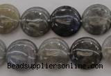 CLB737 15.5 inches 18mm flat round labradorite gemstone beads