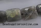 CLB94 15.5 inches 13*18mm faceted rectangle labradorite beads