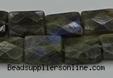 CLB962 15.5 inches 13*18mm faceted rectangle labradorite beads