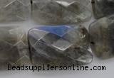 CLB97 15.5 inches 20*30mm faceted rectangle labradorite beads