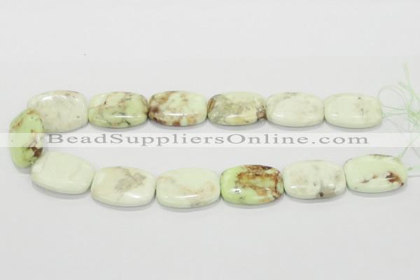 CLE43 15.5 inches 22*30mm rectangle lemon turquoise beads wholesale