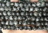 CLJ531 15.5 inches 4mm,6mm,8mm,10mm & 12mm round sesame jasper beads