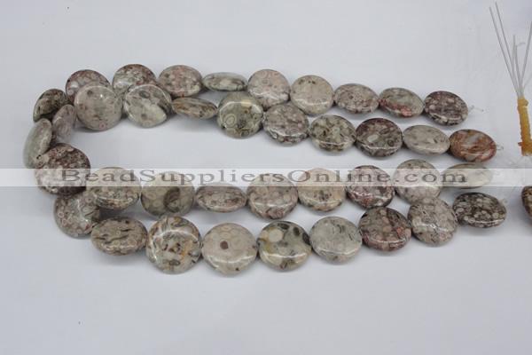 CMB11 15.5 inches 20mm flat round natural medical stone beads