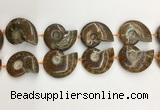 CMM10 15.5 inches 30*40mm - 35*45mm carved ammonite gemstone beads