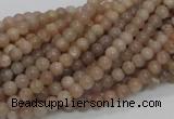 CMS01 15.5 inches 4mm round moonstone gemstone beads wholesale