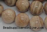 CMS05 15.5 inches 20mm round moonstone gemstone beads wholesale