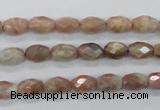 CMS100 15.5 inches 6*9mm faceted rice moonstone gemstone beads