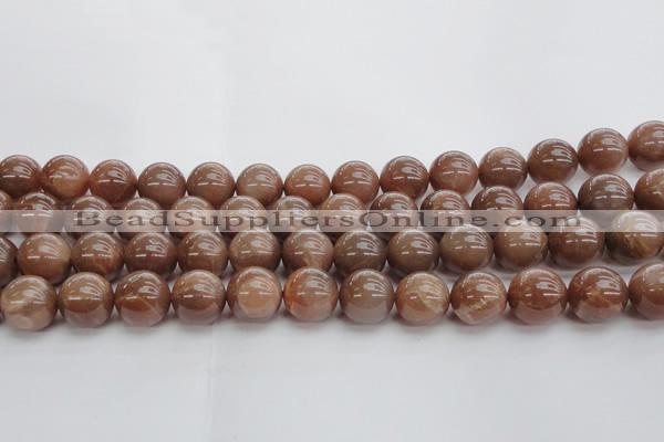 CMS1025 15.5 inches 14mm round AA grade moonstone gemstone beads