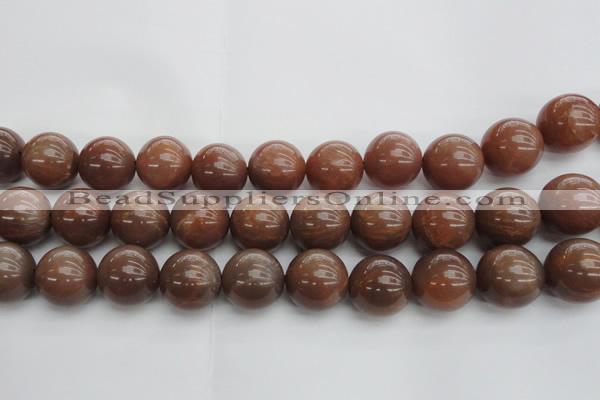 CMS1026 15.5 inches 16mm round AA grade moonstone gemstone beads