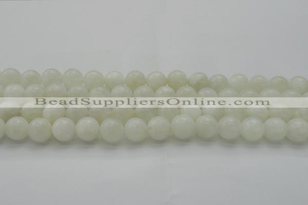 CMS1032 15.5 inches 8mm round A grade white moonstone beads