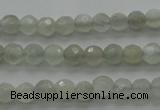 CMS1054 15.5 inches 4mm faceted round grey moonstone beads wholesale